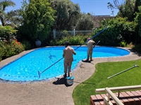 established swimming pool cleaning - 1