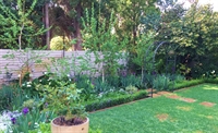 thriving landscaping business johannesburg - 1